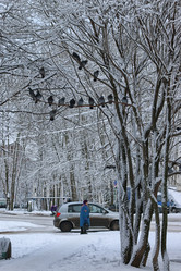 Similar image 20052220