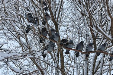 Similar image 20052224