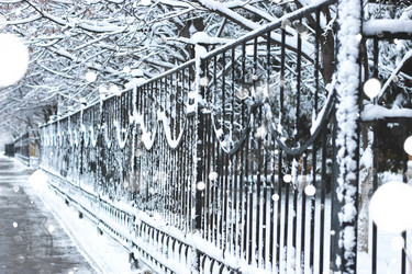 Similar image 20052231