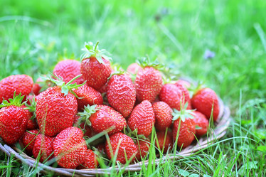 Similar image 20052256