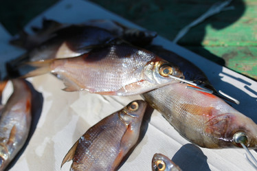 Similar image 20052260