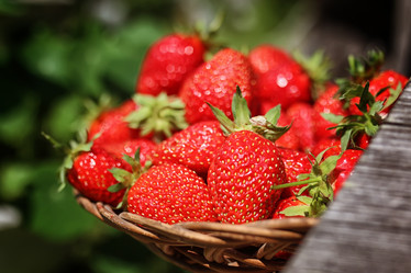 Similar image 20052268