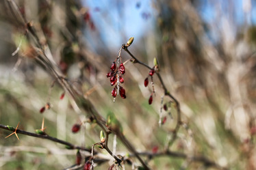 Similar image 20052272