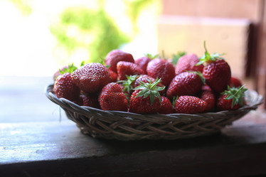 Similar image 20052273