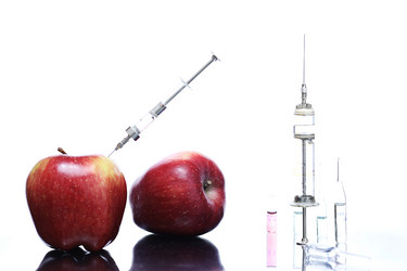 Similar image 20052289