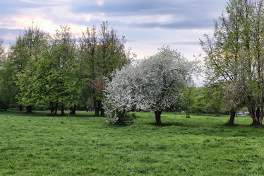 Similar image 20052344