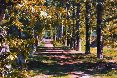 Similar image 20052346