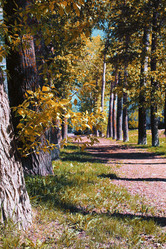 Similar image 20052347