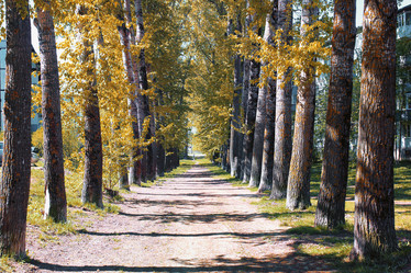 Similar image 20052351