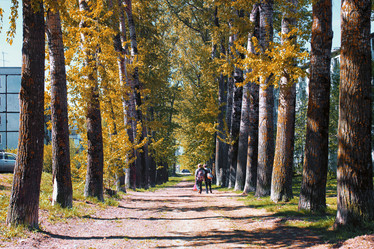 Similar image 20052352