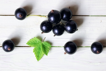 Similar image 20052356