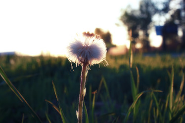 Similar image 20052359