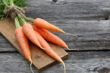 Similar image 20052369