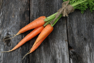 Similar image 20052370