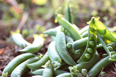 Similar image 20052393