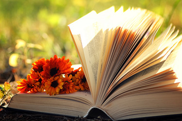 Similar image 20052394