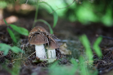 Similar image 20052398