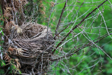 Similar image 20052402