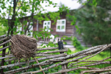 Similar image 20052405