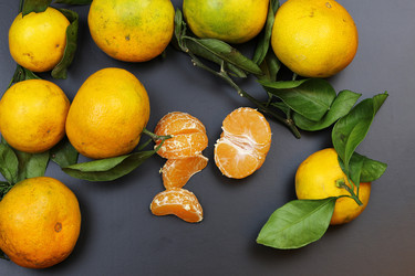 Similar image 20052421