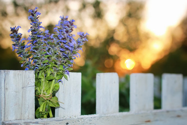 Similar image 20052422