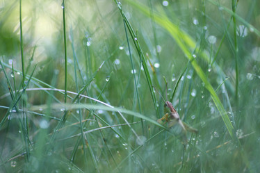 Similar image 20052426