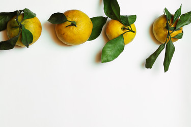 Similar image 20052433