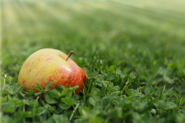 Similar image 20052437