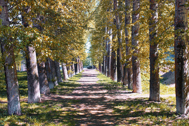 Similar image 20052448