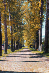 Similar image 20052450