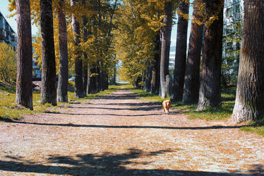 Similar image 20052451