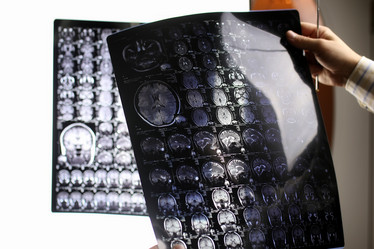 Similar image 20052479