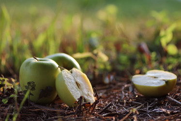 Similar image 20052486