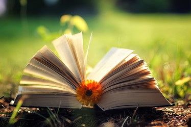 Similar image 20052489