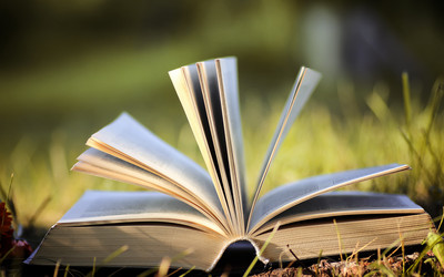 Similar image 20052492