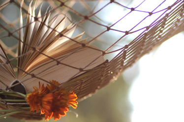 Similar image 20052494