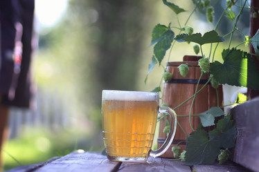 Similar image 20052496