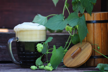 Similar image 20052498