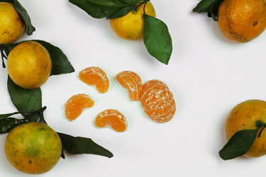 Similar image 20052508