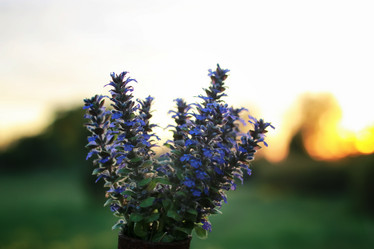 Similar image 20052512