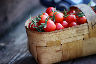 Similar image 20052513