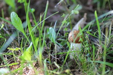 Similar image 20052523