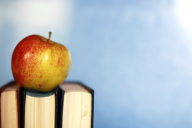 Similar image 20052529