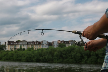 Similar image 20052573