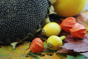 Similar image 20052583