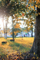 Similar image 20052593