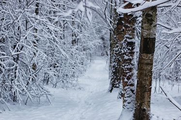 Similar image 20052603