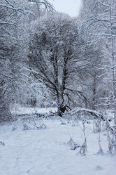 Similar image 20052605