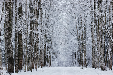 Similar image 20052606