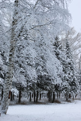 Similar image 20052607